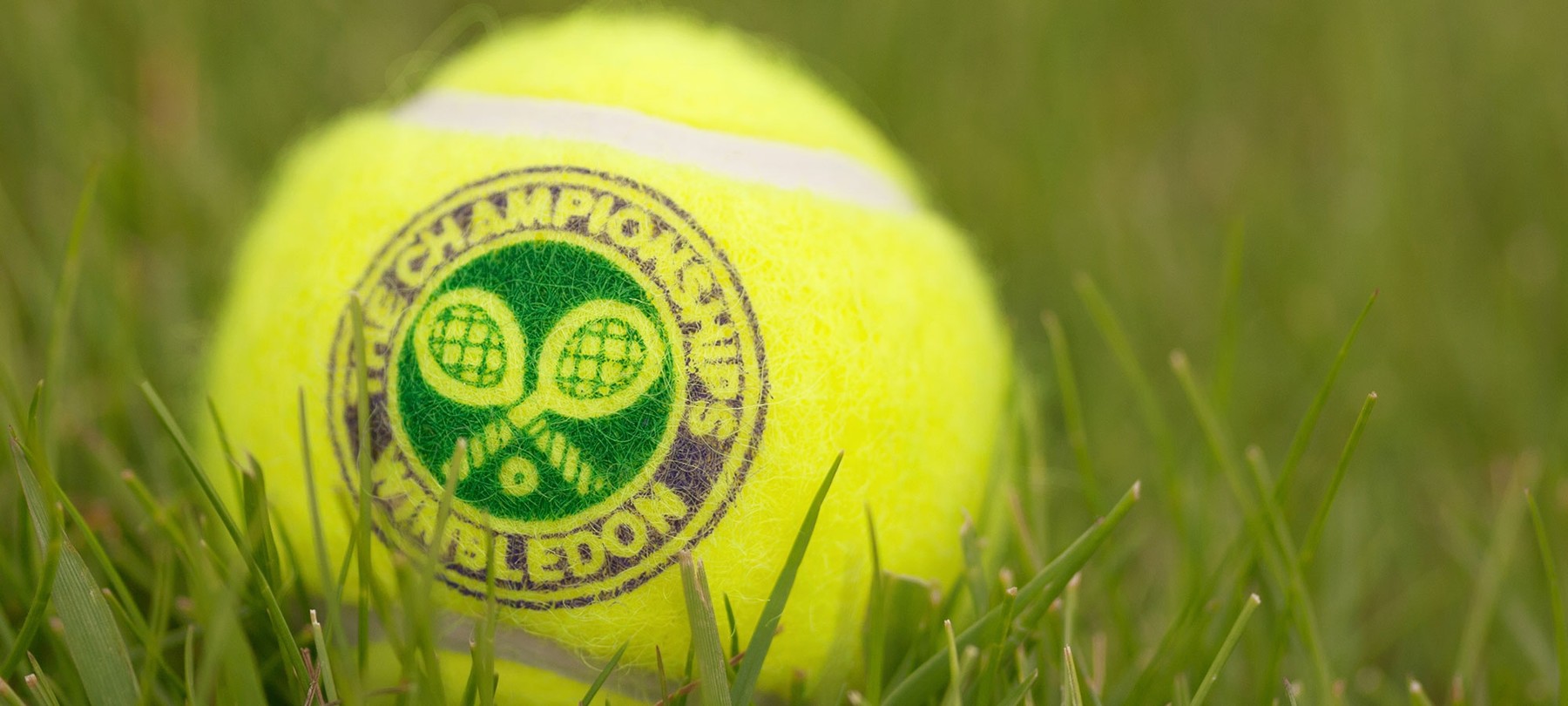 A close up of a tennis ball sitting on grass with Wimbledon written on the ball